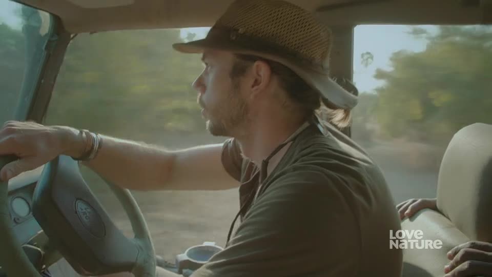 The man in the hat grips the steering wheel, his eyes fixed on the road ahead. Trees and brush blur past the open window as the vehicle moves.
