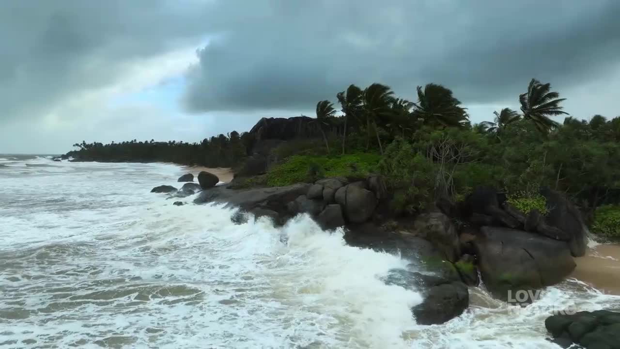 Waves crash against dark rocks as palm trees sway violently in the wind under a stormy sky. The ocean churns, its white foam reaching the sandy shore.