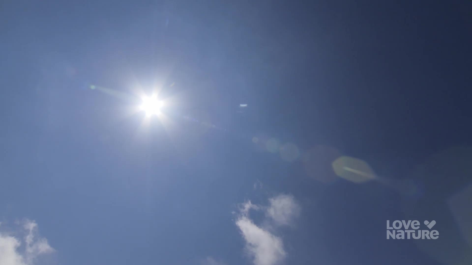 The sun burns bright in a clear blue sky over Canada. A few wispy clouds drift by as the light flares across the scene.