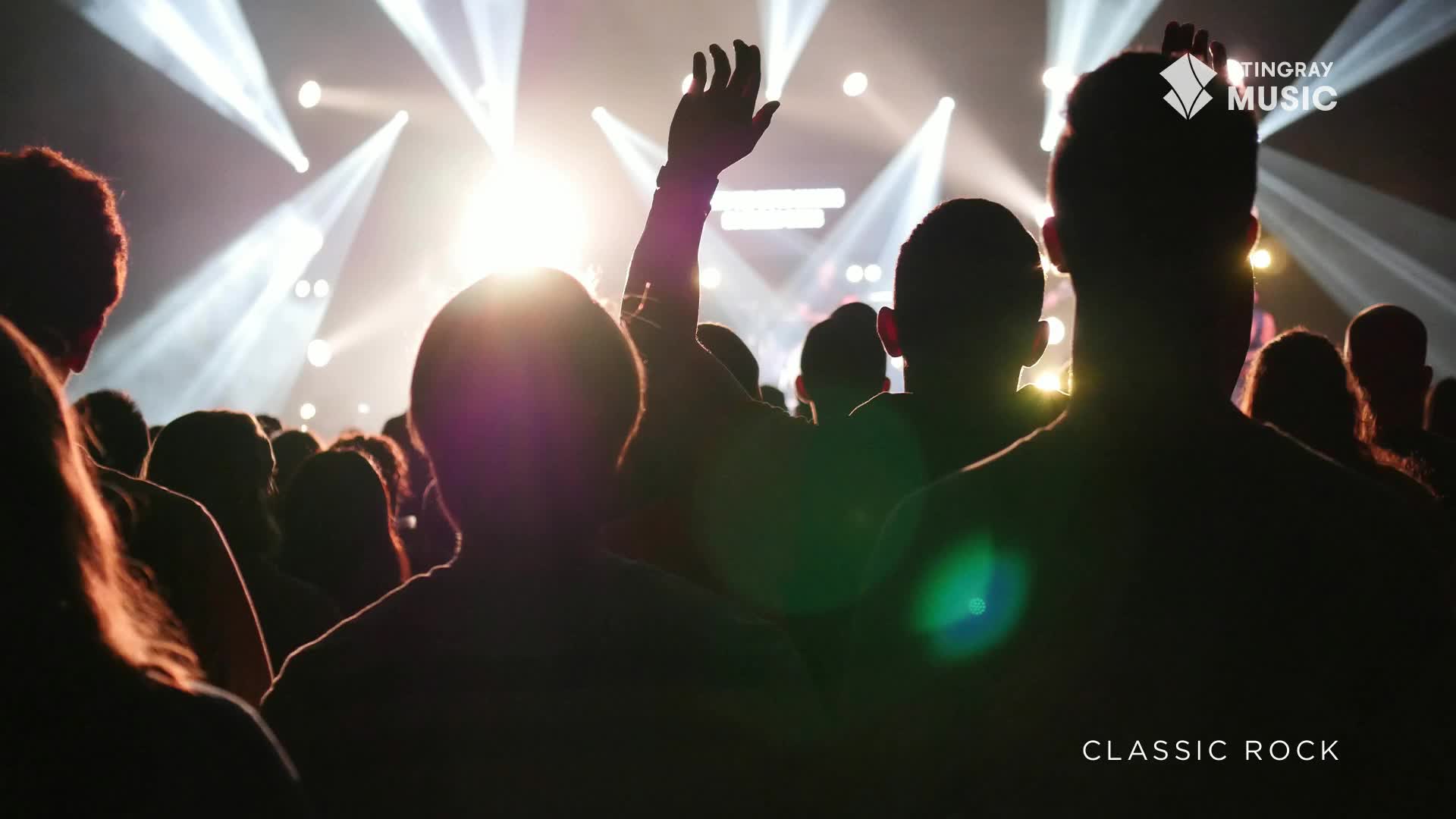 The crowd is packed, and a sea of heads faces the stage, bathed in bright spotlights. One arm is raised, a silhouette against the lights, as Stingray Classic Rock fills the air in Canada.
