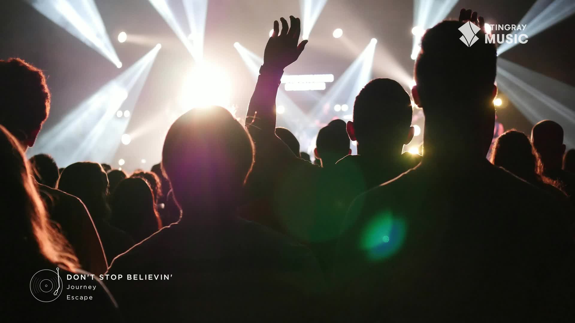 The crowd is a sea of shadowy figures, arms raised towards the bright stage lights. The air is thick with anticipation, and the opening chords of a Canadian classic rock anthem are about to drop.
