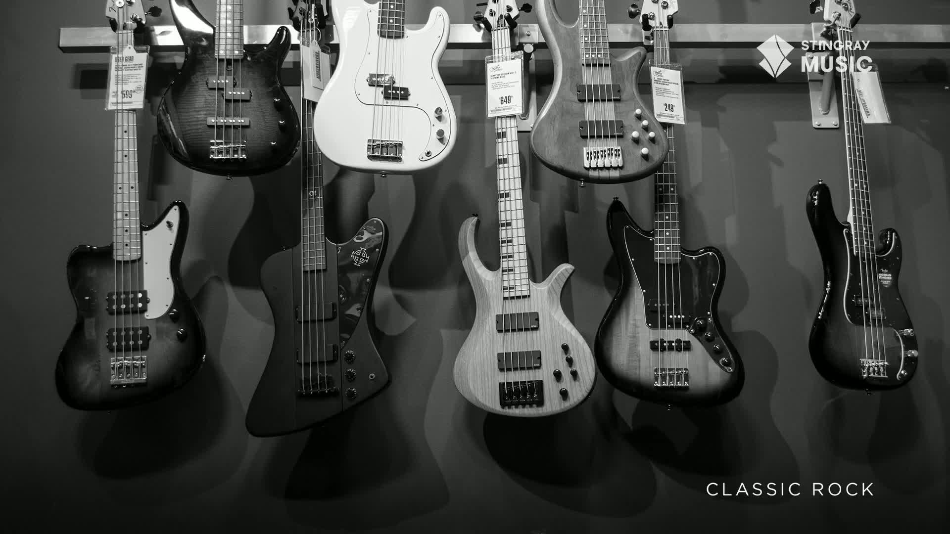 Bass guitars of various shapes and colours hang on a wall, ready for a jam session, maybe even a Classic Rock tune from Stingray Music in Canada. The instruments are all lined up, waiting for a musician to pick them up and start playing.
