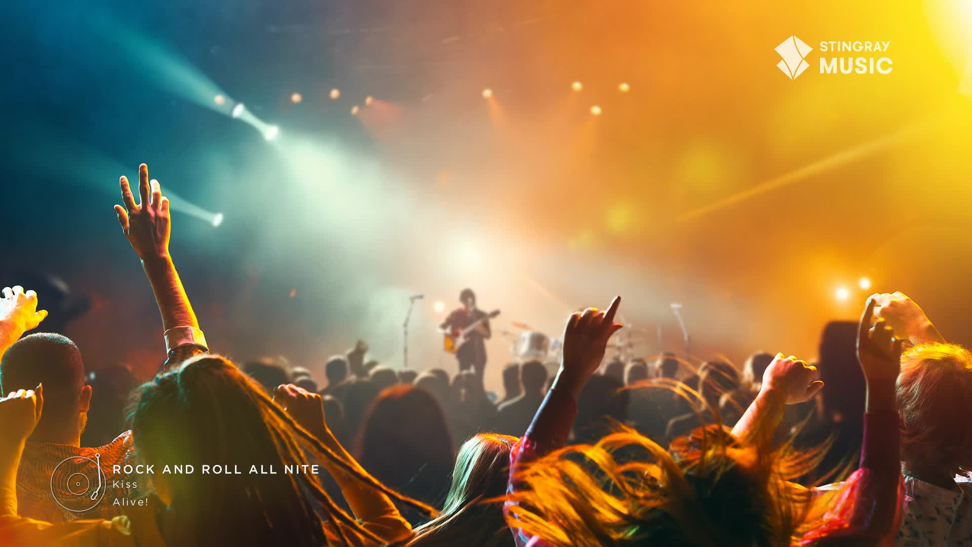 Arms are raised high, illuminated by spotlights as the crowd moves to the music. Up on stage, a band member strums a guitar, bathed in warm light.

