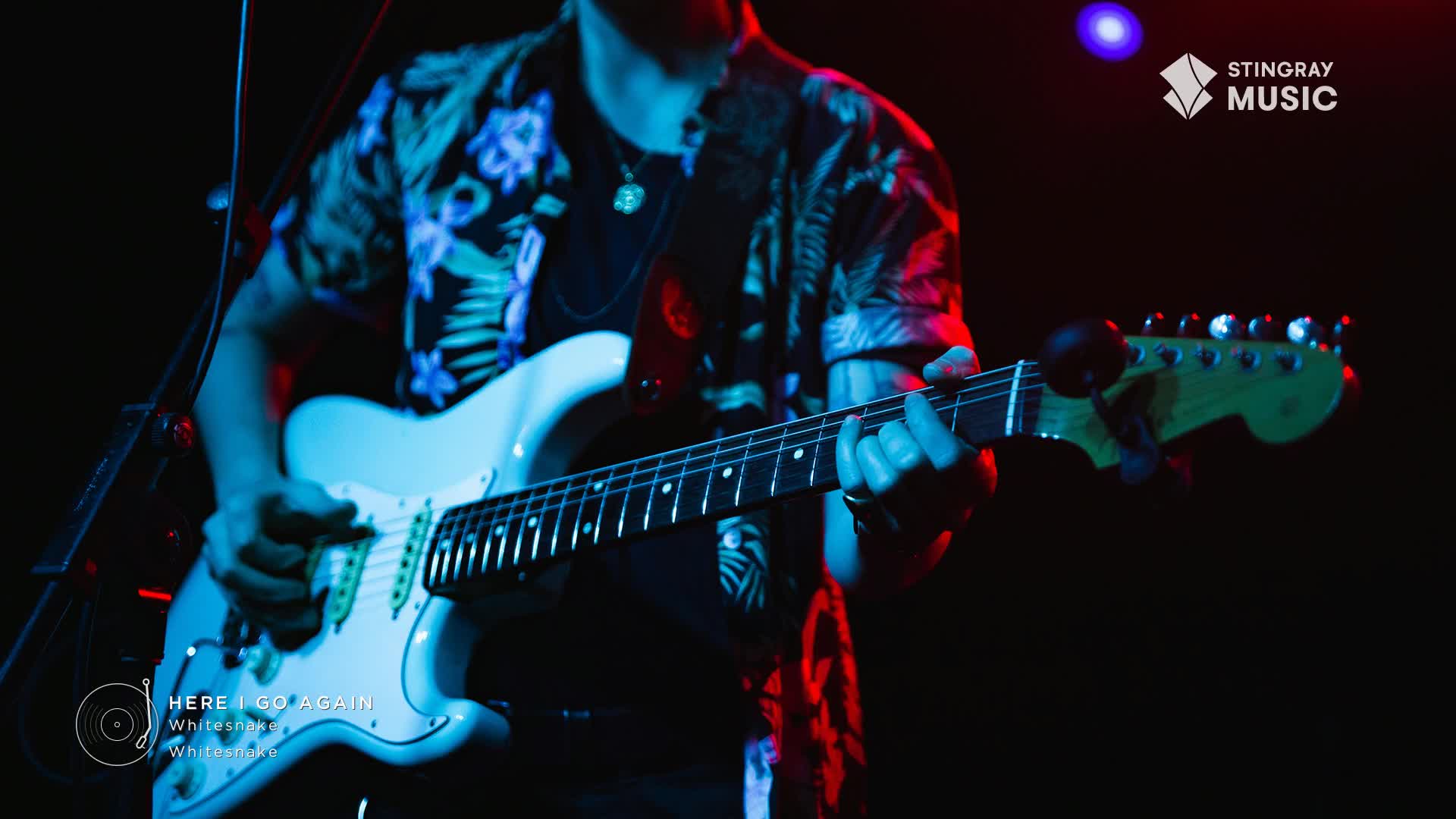The guitarist's fingers dance across the fretboard, illuminated by stage lights as he plays a classic rock tune. A Stingray Music logo is visible, and the song is "Here I Go Again" by Whitesnake.

