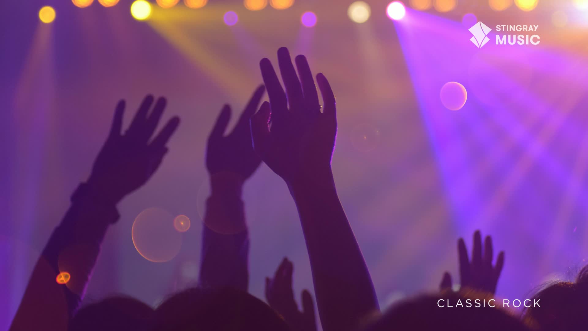 Hands reach up, silhouetted against the stage lights, as Stingray Classic Rock pulses from the speakers. The crowd is a sea of dark shapes, lit by a wash of purple and gold.
