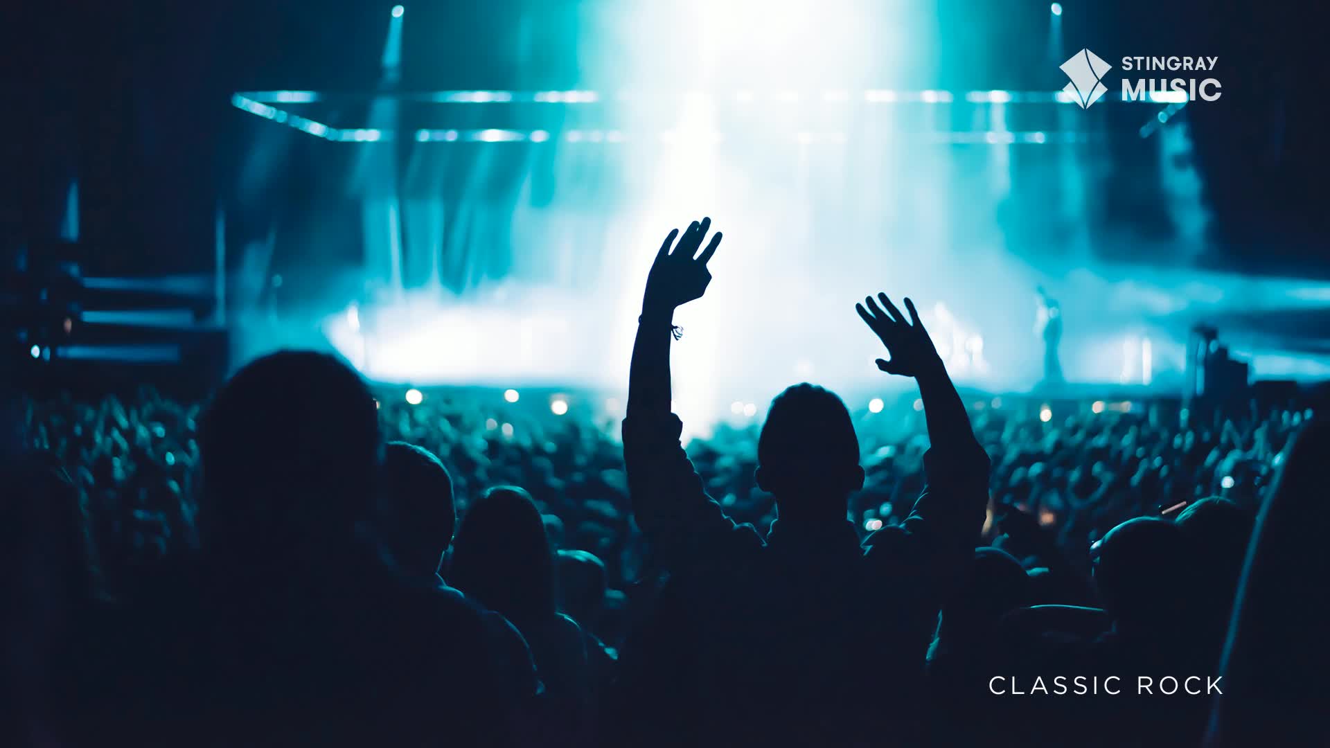 The crowd is a sea of bobbing heads, illuminated by the bright stage lights. A few people in front of me have their arms raised, fingers splayed, as the music from Stingray Classic Rock fills the venue.
The crowd is a sea of bobbing heads, illuminated by the bright stage lights. A few people in front of me have their arms raised, fingers splayed, as the music from Stingray Classic Rock fills the venue.