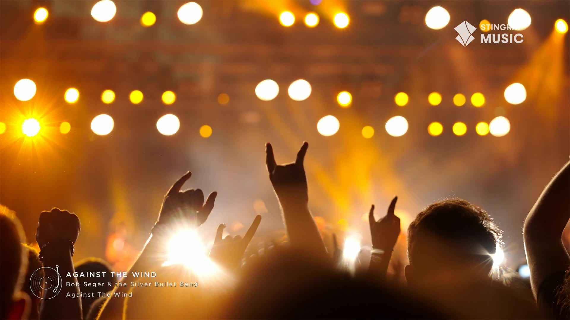 The crowd's hands are thrust upward, illuminated by the stage lights, as Stingray Classic Rock from Canada fills the air. The "rock on" hand gestures are everywhere, silhouetted against the bright stage.
The crowd's hands are thrust upward, illuminated by the stage lights, as Stingray Classic Rock from Canada fills the air. The "rock on" hand gestures are everywhere, silhouetted against the bright stage.