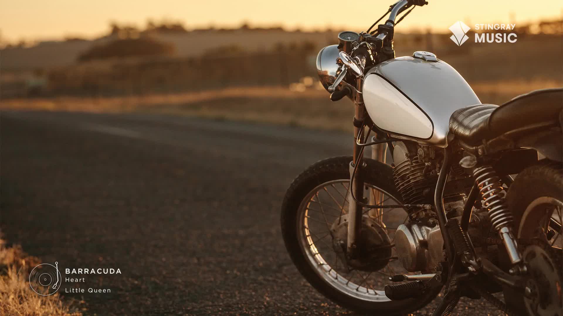 A classic motorcycle, gleaming in the sunset, sits parked on the shoulder of a Canadian road. The Stingray Music logo subtly appears as a soundtrack to the scene.
A classic motorcycle, gleaming in the sunset, sits parked on the shoulder of a Canadian road. The Stingray Music logo subtly appears as a soundtrack to the scene.