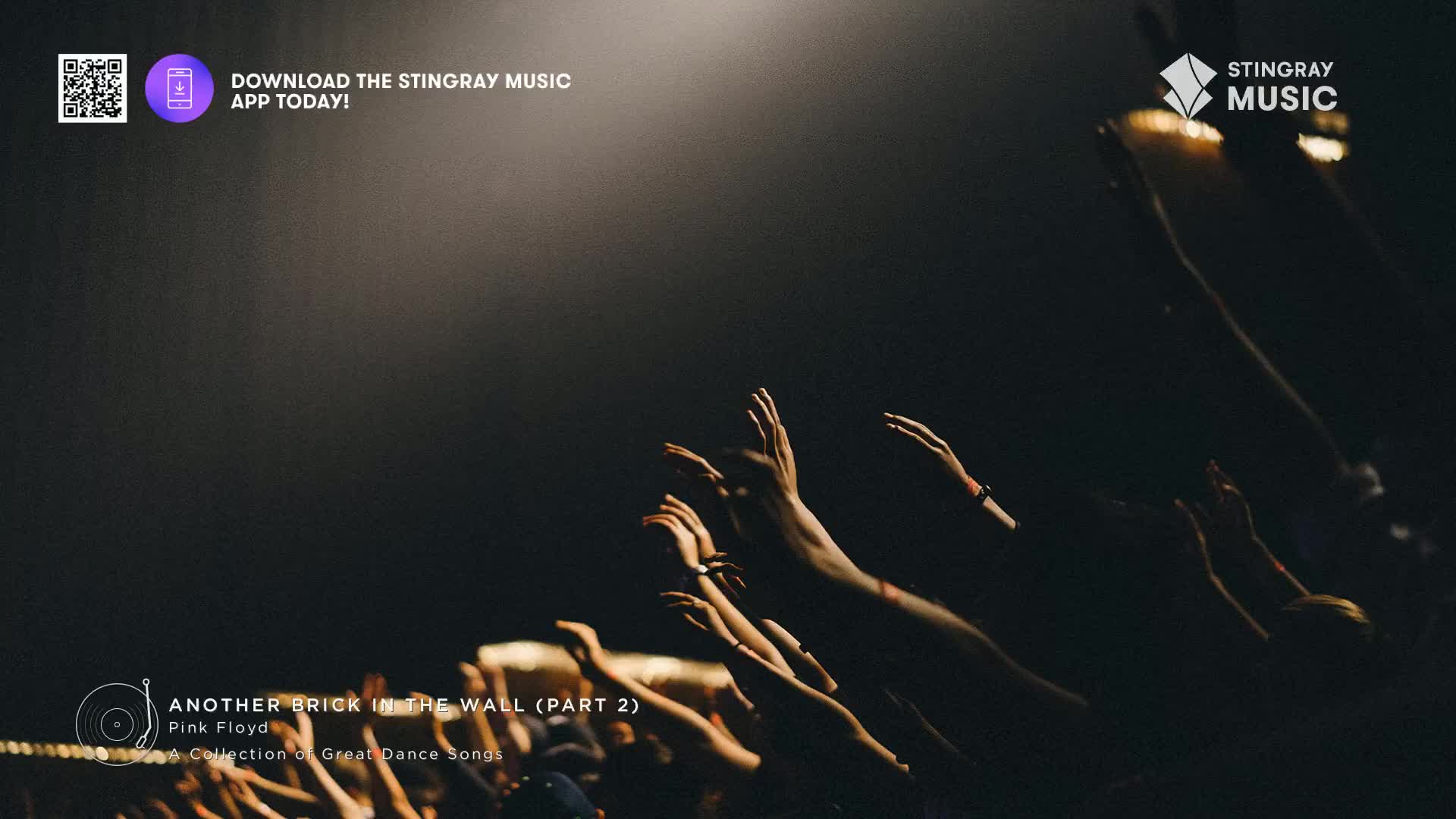 Arms are reaching up, illuminated by a spotlight, as the crowd responds to the Pink Floyd classic on Stingray Classic Rock. The energy is palpable, a sea of hands swaying in the darkness.
Arms are reaching up, illuminated by a spotlight, as the crowd responds to the Pink Floyd classic on Stingray Classic Rock. The energy is palpable, a sea of hands swaying in the darkness.