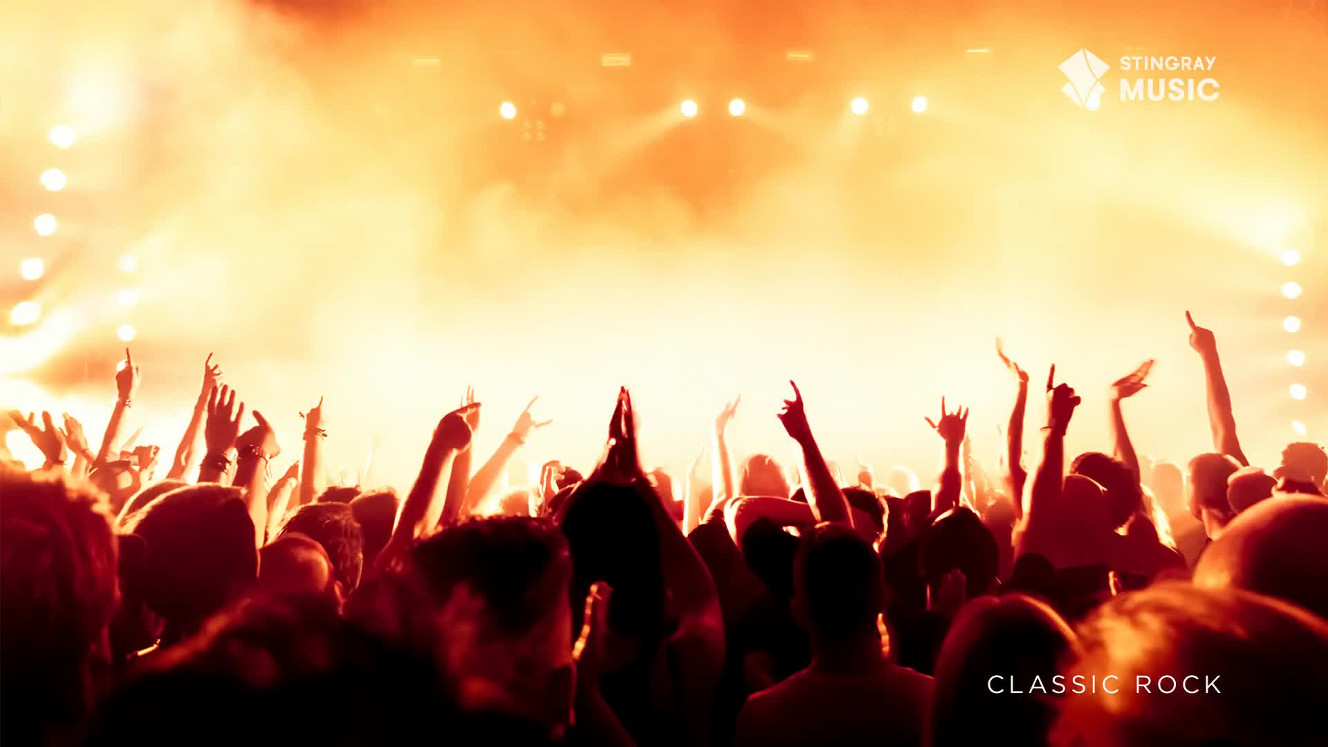 Arms are raised, some with fingers pointing skyward, others forming the classic rock devil horns, silhouetted against a blinding orange stage light. The crowd is packed tight, a sea of dark shapes pulsing with energy at this Stingray Music event.