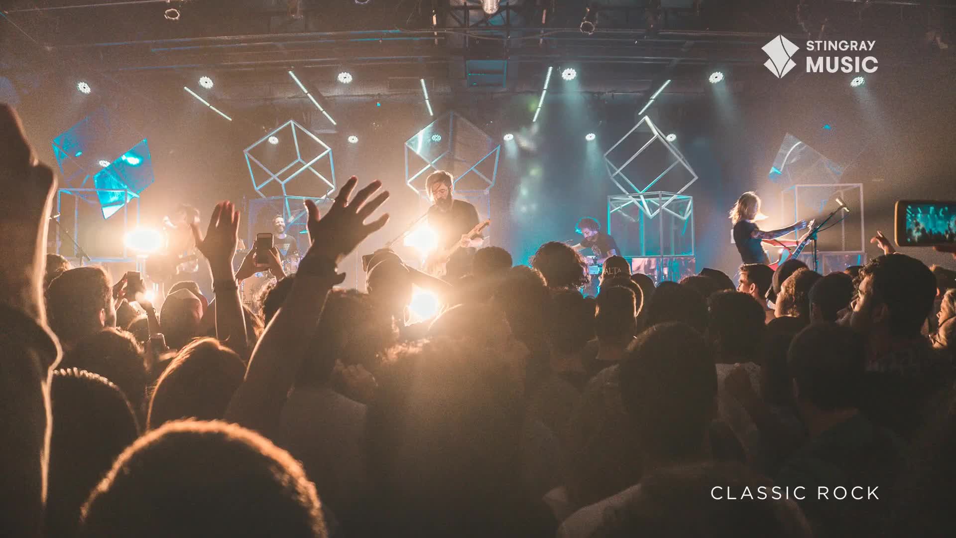 The band is rocking out on stage, bathed in bright lights, while the crowd surges forward, hands raised. It feels like a classic rock show in Canada, with Stingray Music broadcasting the energy.