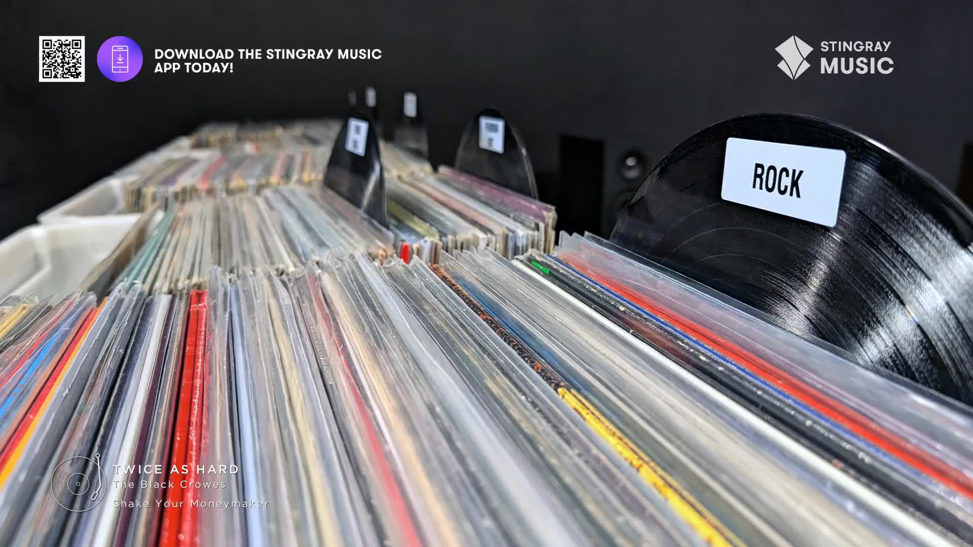 Rows of vinyl records, some in clear plastic sleeves, stretch out before me. A single record, labeled "ROCK," sits prominently, its glossy black surface reflecting the light.