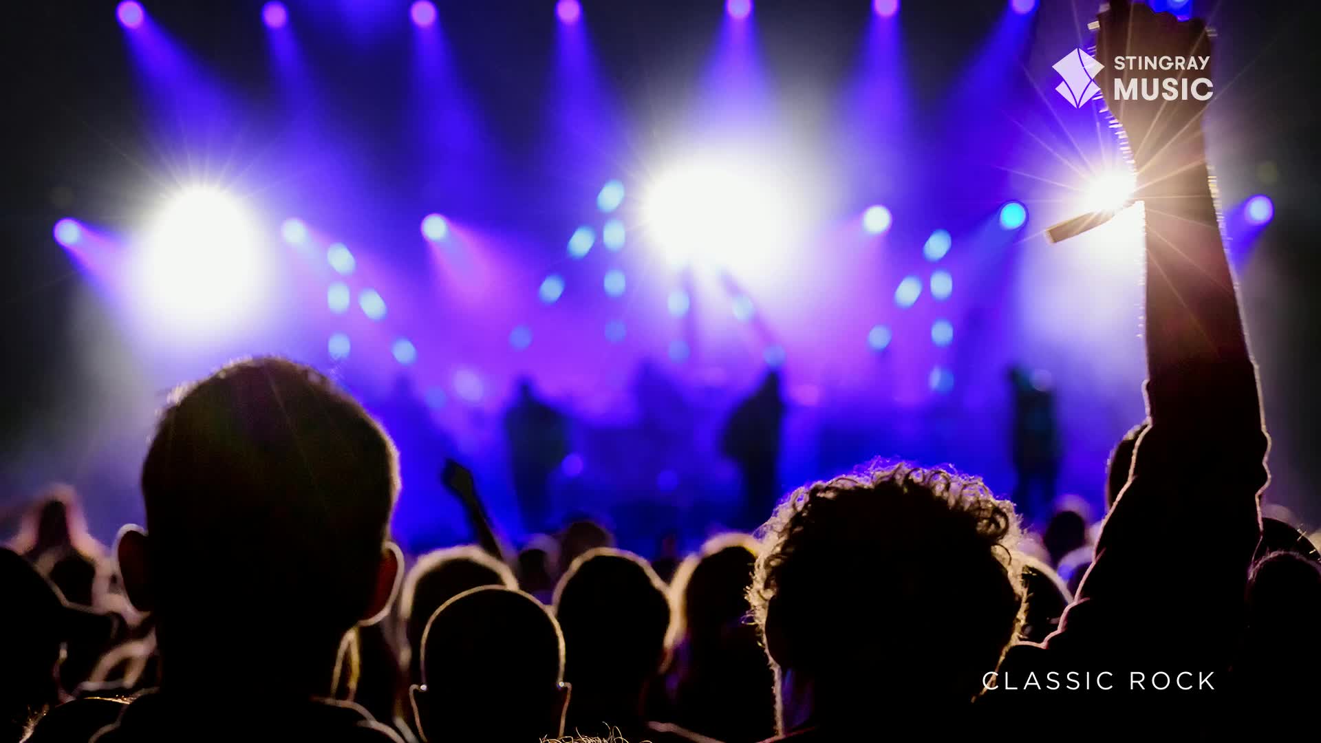 The stage lights are a vibrant purple, cutting through the darkness as a hand shoots up in the air. A crowd of people are packed together, their silhouettes framing the bright lights and the Stingray Music logo.