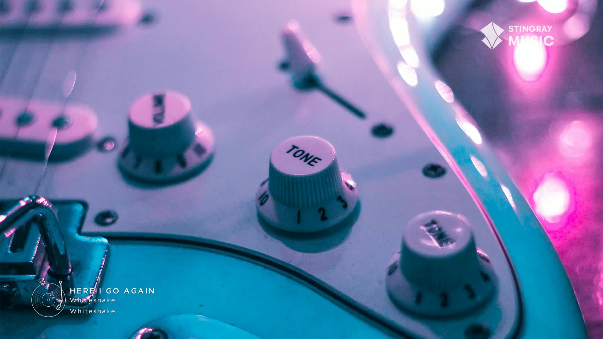 The white knobs on the electric guitar gleam under the vibrant purple and blue lights. A Stingray Music logo is visible in the upper right corner.