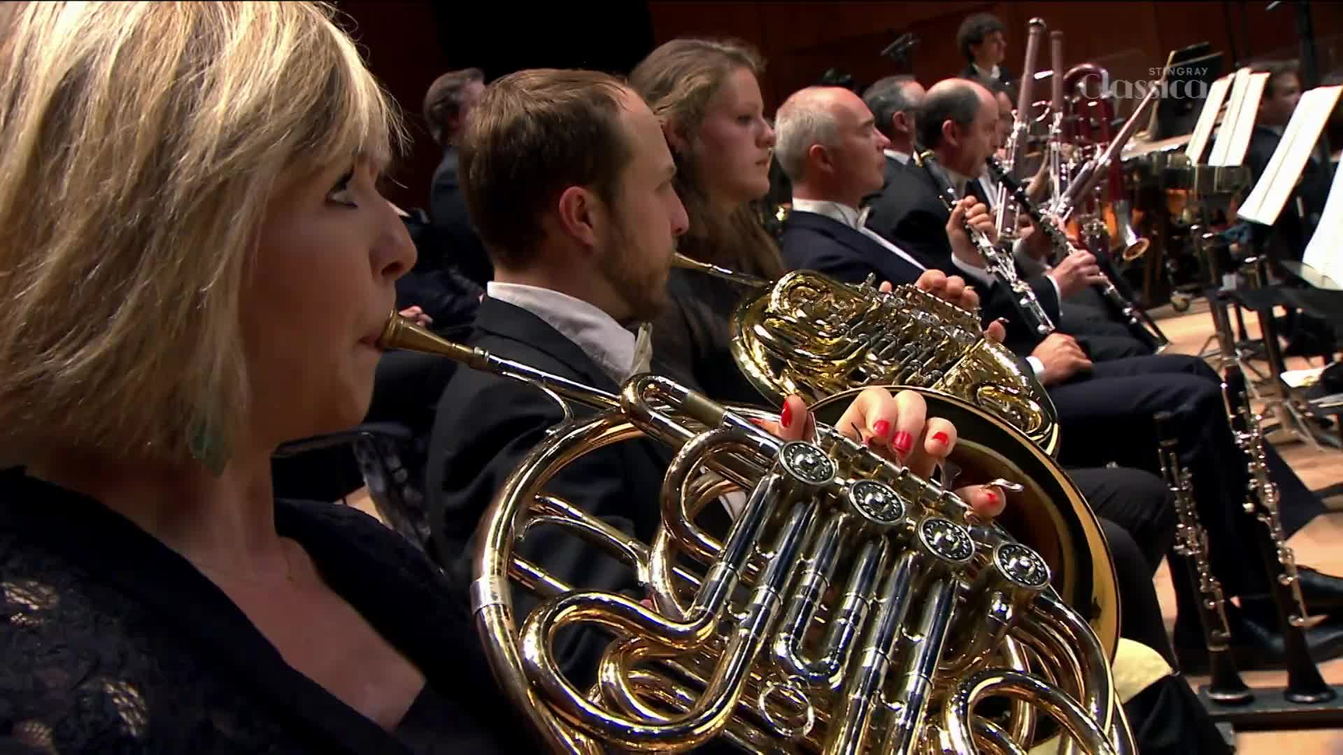 The brass section of an orchestra, with their polished instruments, is in full focus. A woman with blonde hair blows into a French horn, her red nail polish a bright contrast to the gold.
