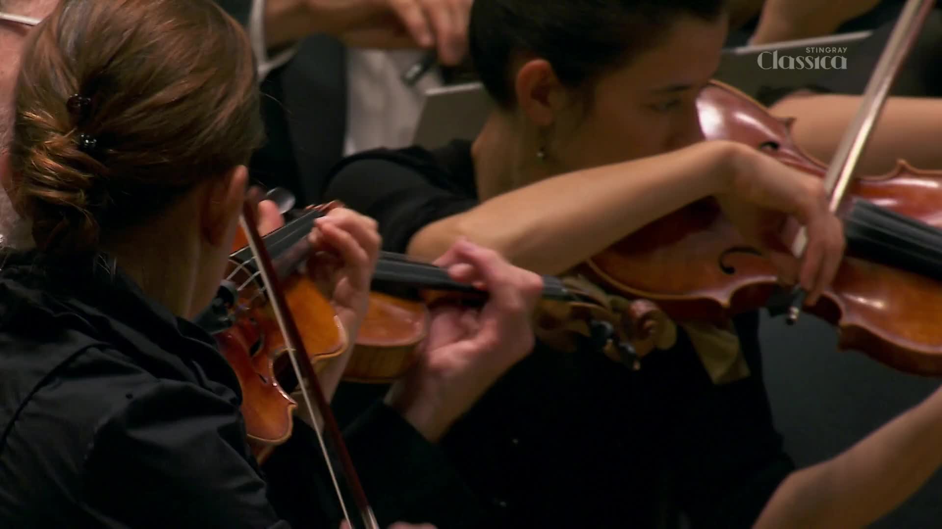 The musicians' arms move in unison, drawing bows across the violins' strings. The Stingray Classica logo is visible, and the performance is likely from Canada.
