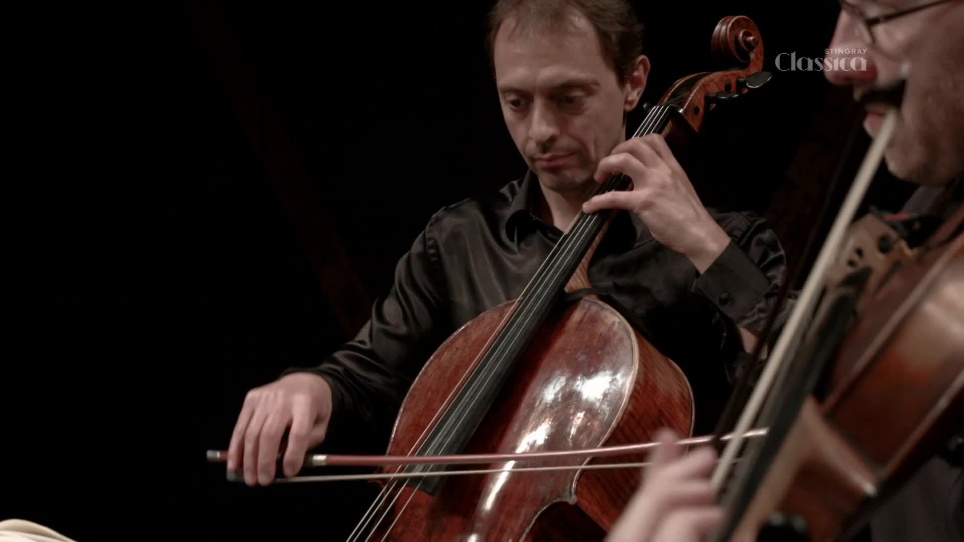 The cellist's bow glides across the strings, drawing a rich sound from the instrument. Beside him, another musician's bow moves in a similar rhythm, adding to the music.
