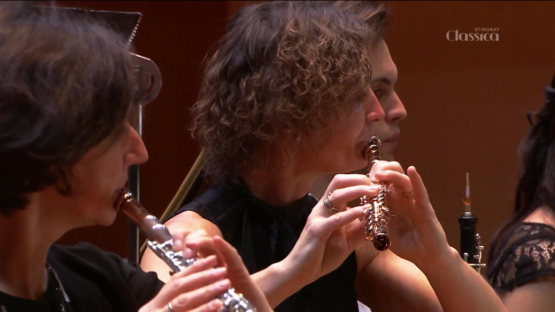 The oboe players are focused, their fingers dancing over the keys.  Each musician's breath is visible as they blow into the instruments.
