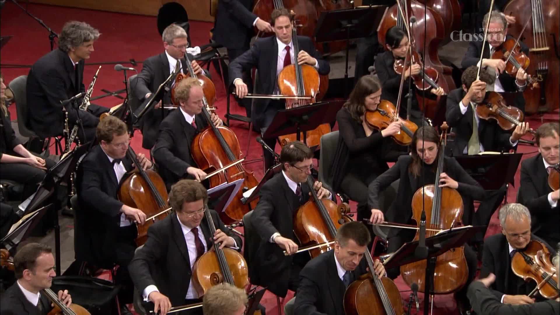 Cellists and violinists in formal attire are bowed over their instruments, drawing their bows across the strings. The musicians are concentrated, their faces reflecting the music as they perform for Stingray Classica.
