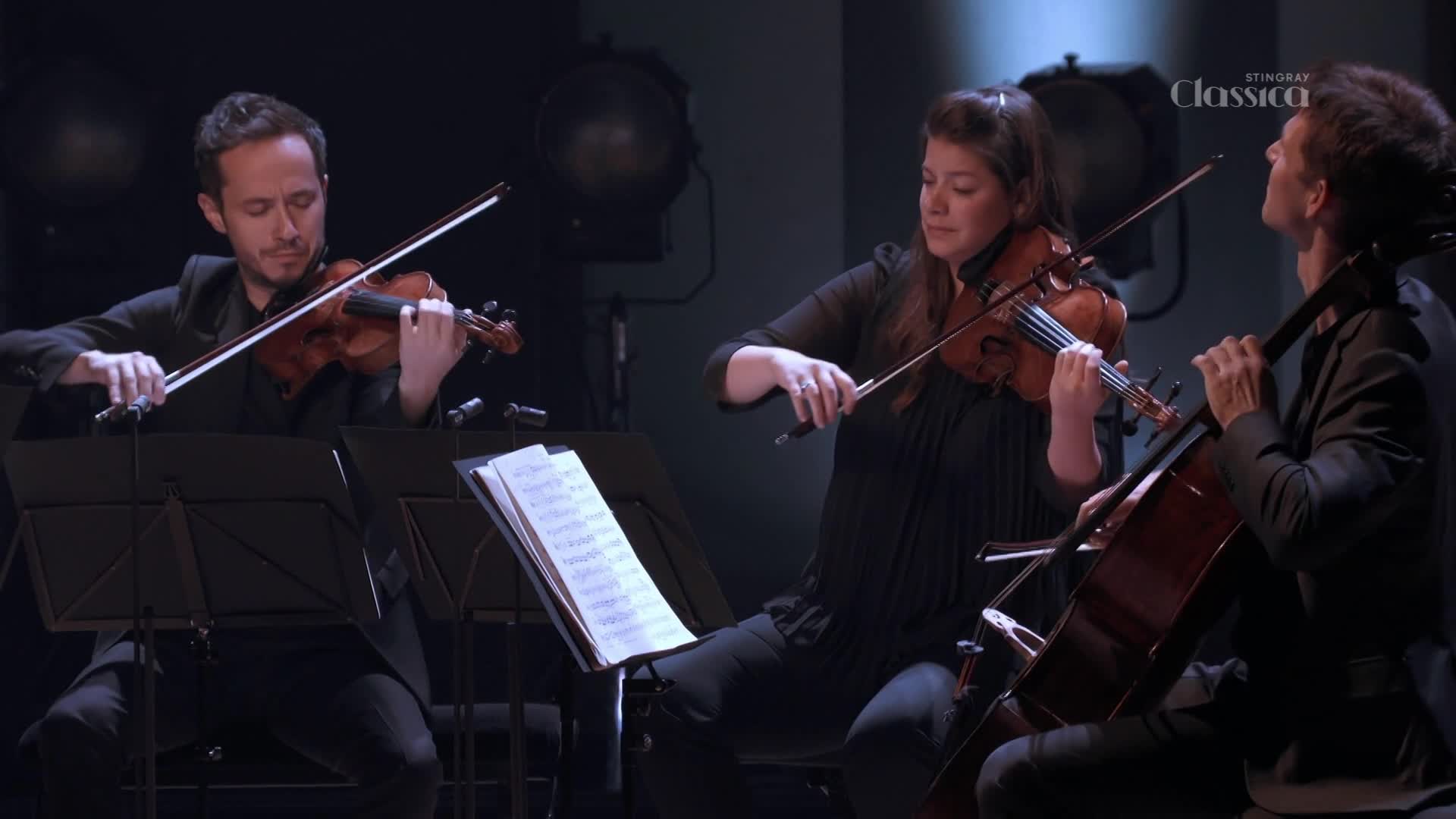 Three musicians, lit dramatically, play their instruments with focused concentration. The bows move swiftly across the strings of the violins and cello, creating the music for Stingray Classica.
