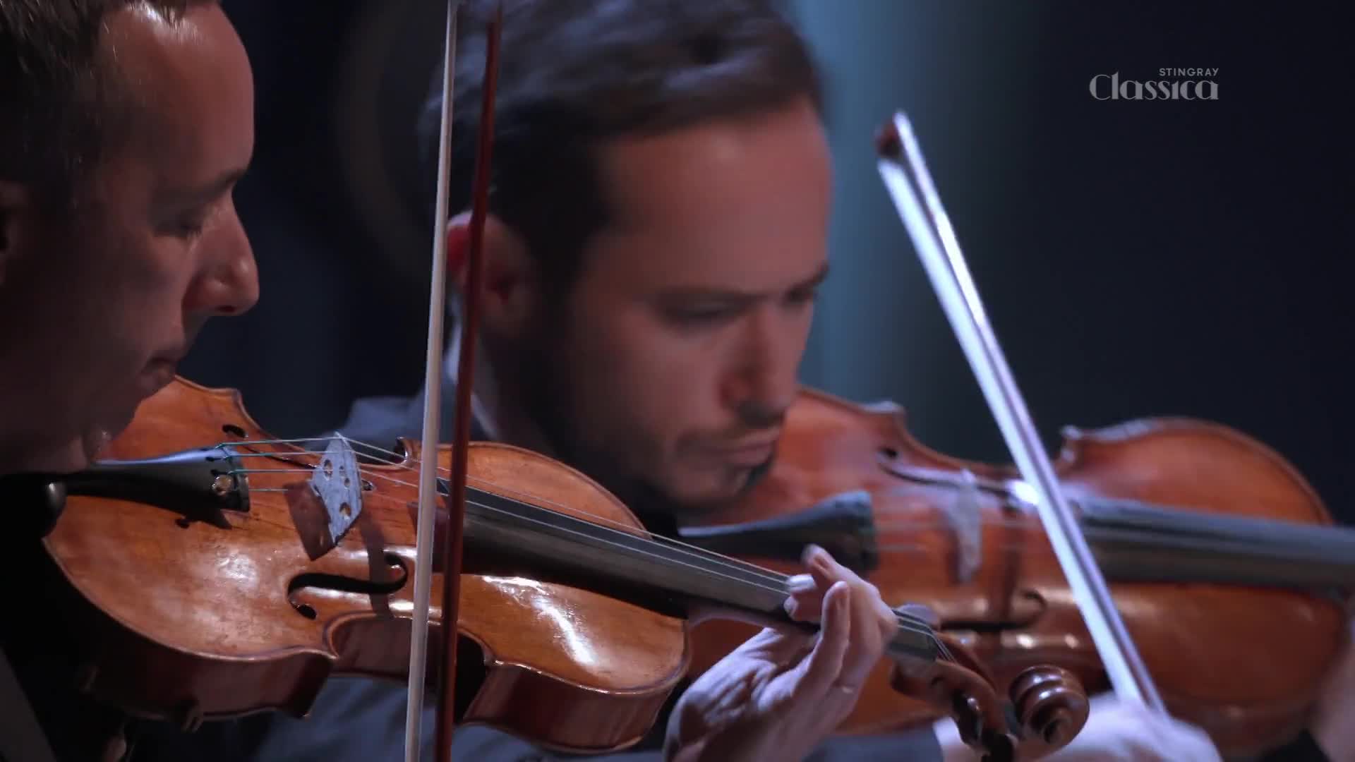 The bow of the violin moves across the strings, creating a rich sound. Two men, focused on their instruments, are playing in a performance for Stingray Classica.
