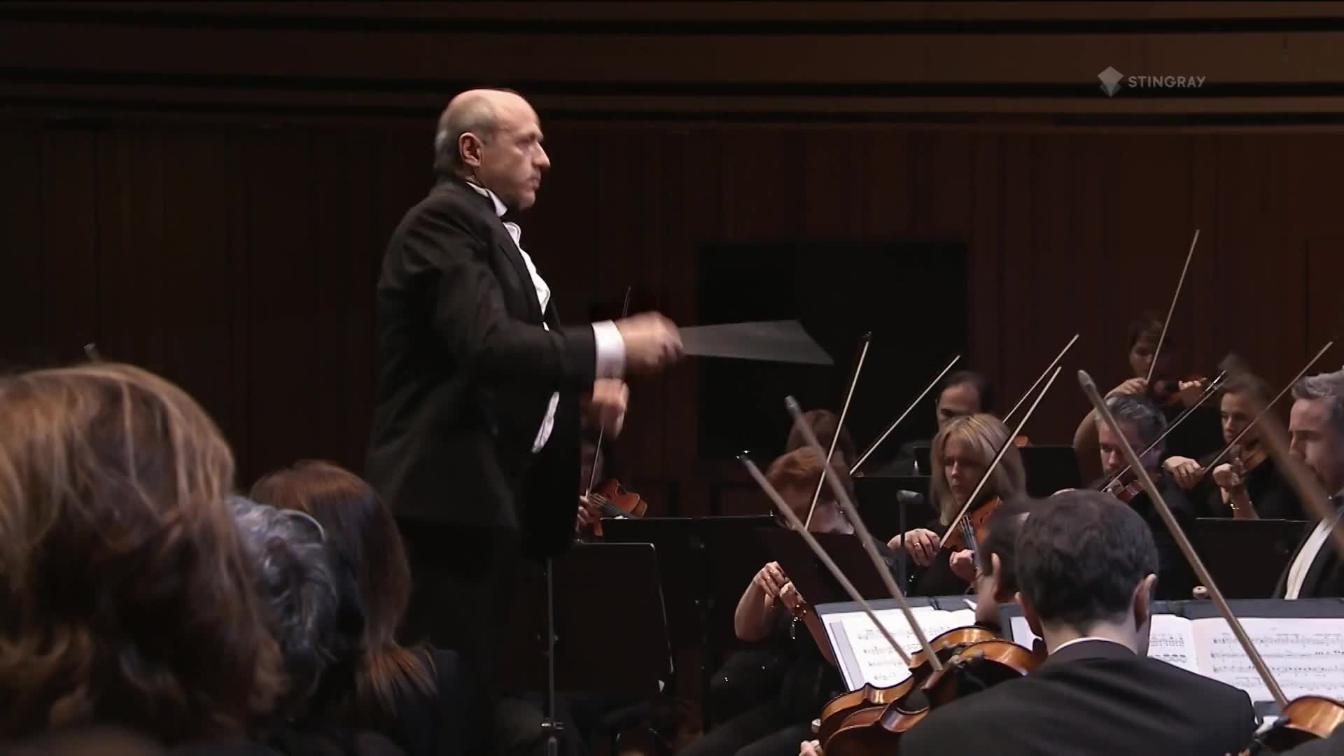 The conductor, dressed in a tuxedo, gestures emphatically with his baton, leading the orchestra.  Violins and bows move in unison, their players focused on the sheet music.
