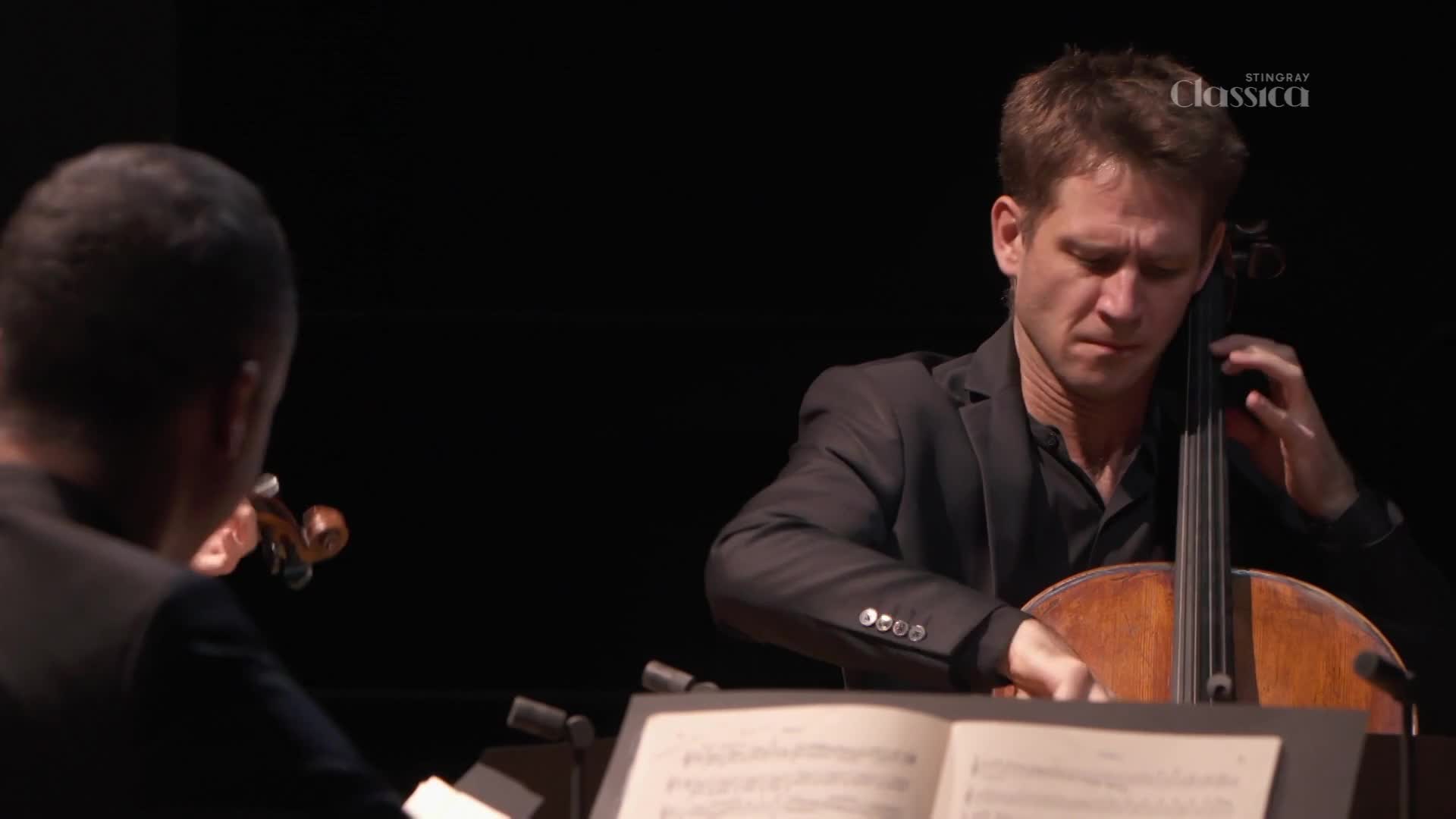 The cellist's fingers dance across the strings, his face intent on the music. Across from him, the violinist's bow glides across the strings, their instrument held close.
