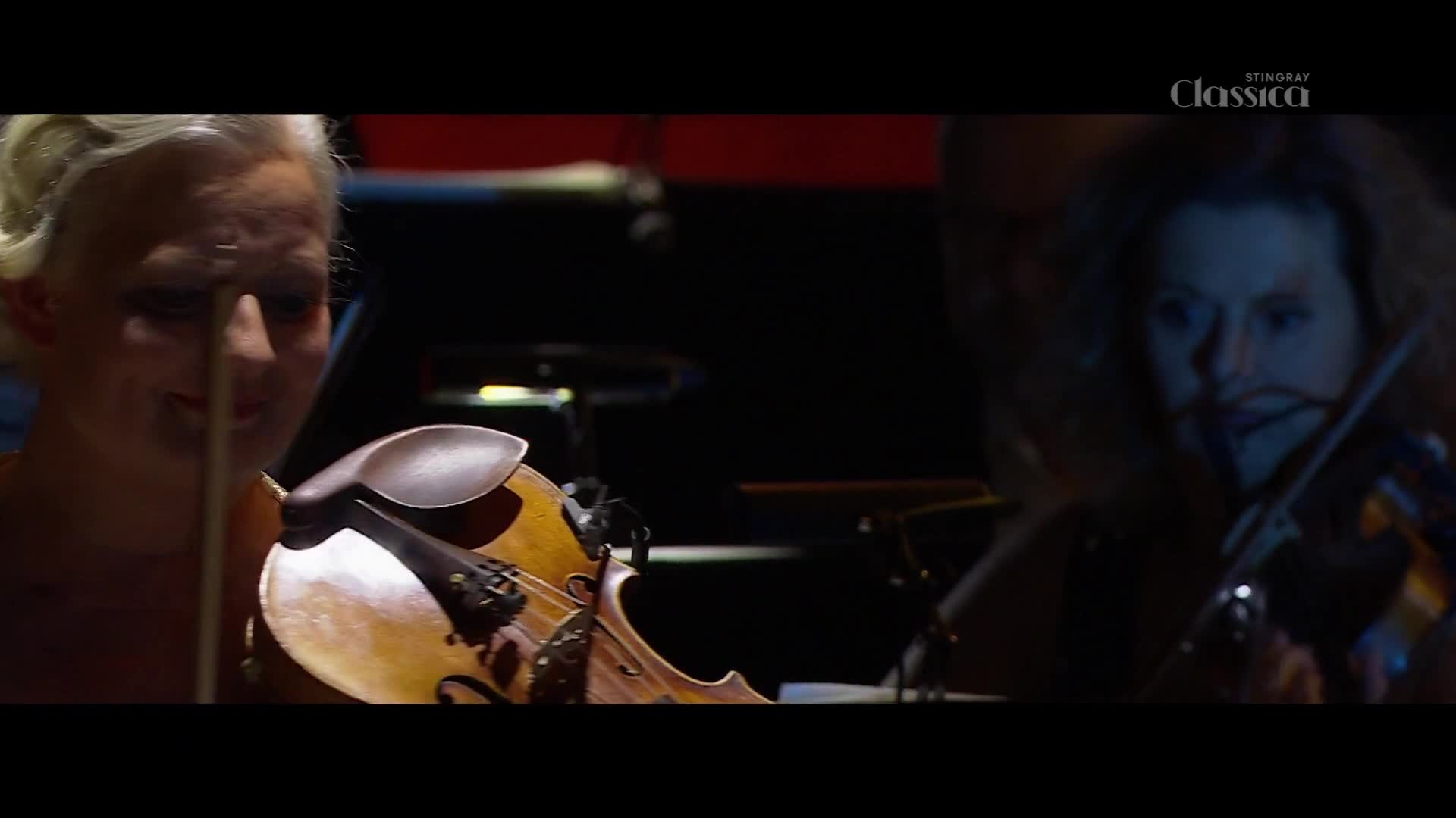 The violinist on the left smiles as she draws her bow across the strings.  Across the stage, another musician focuses intently on her instrument, the light catching her hair.
