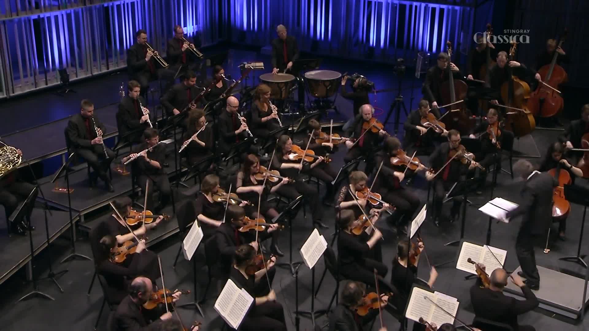 A conductor gestures emphatically, leading a large orchestra in a performance. The musicians, dressed in dark attire, are focused on their instruments, creating music for Stingray Classica in Canada.
