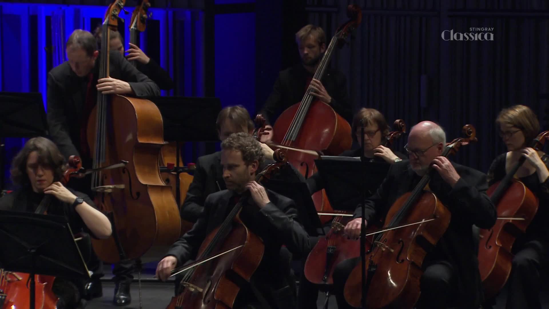 Cellists and bassists, all in black, are poised with their instruments. The bows move across the strings, and the music fills the concert hall.
