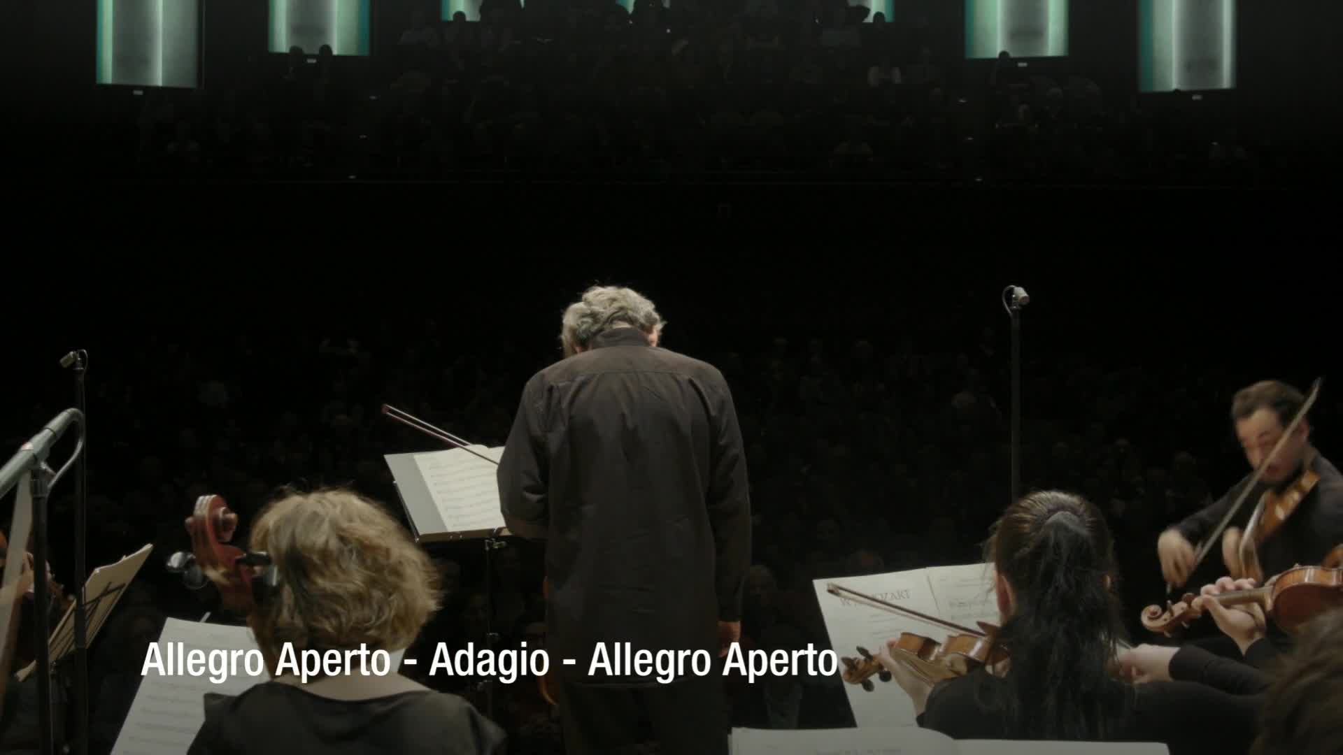 The conductor's back is to me, his baton poised as the violins begin to play. The musicians' bows move in unison, drawing sound from their instruments.
