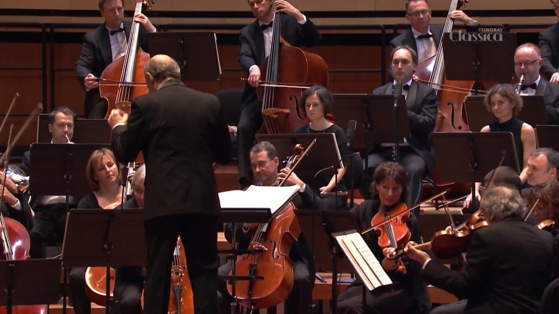 The conductor's arms are sweeping, guiding the musicians in a performance for Stingray Classica. Bows move across strings, and the orchestra, in formal attire, plays with focused intensity.
