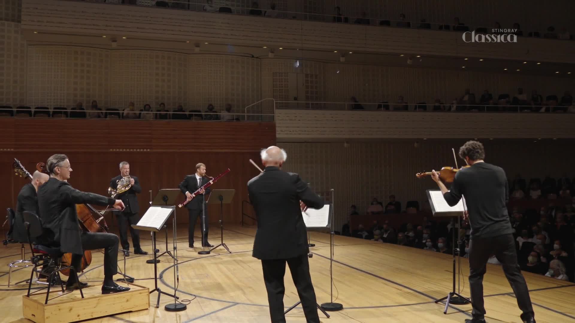 The conductor's baton is raised, and the musicians are poised, ready to begin. A violinist's bow is drawn across the strings as the orchestra prepares to play for the Stingray Classica audience.
