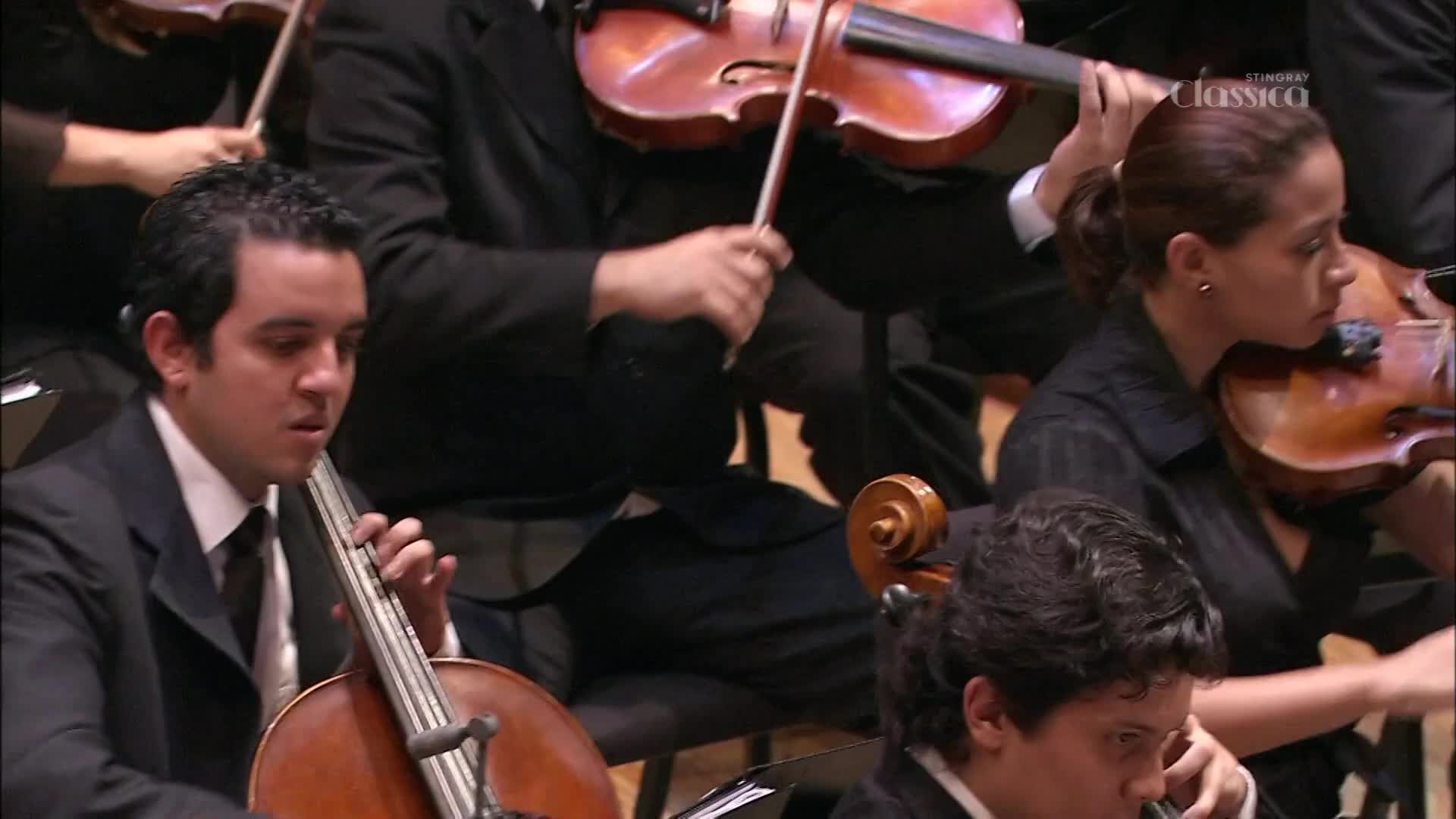 Cellists and violinists, dressed in black, are deeply focused on their instruments. Bows move across strings, the musicians' faces reflecting the music.
