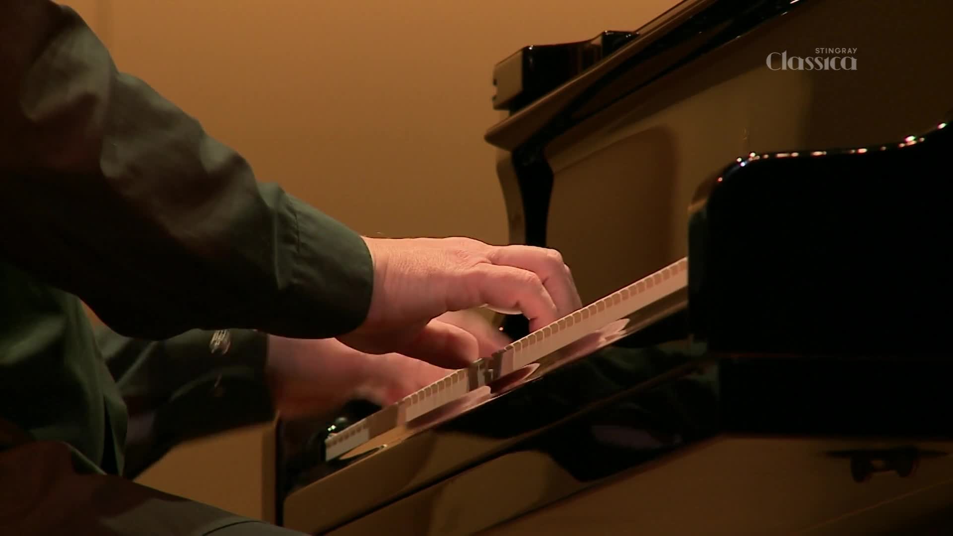 Fingers dance across the piano keys, the polished black surface reflecting the warm light. This is Stingray Classica, and the music is flowing from the musician's touch.
