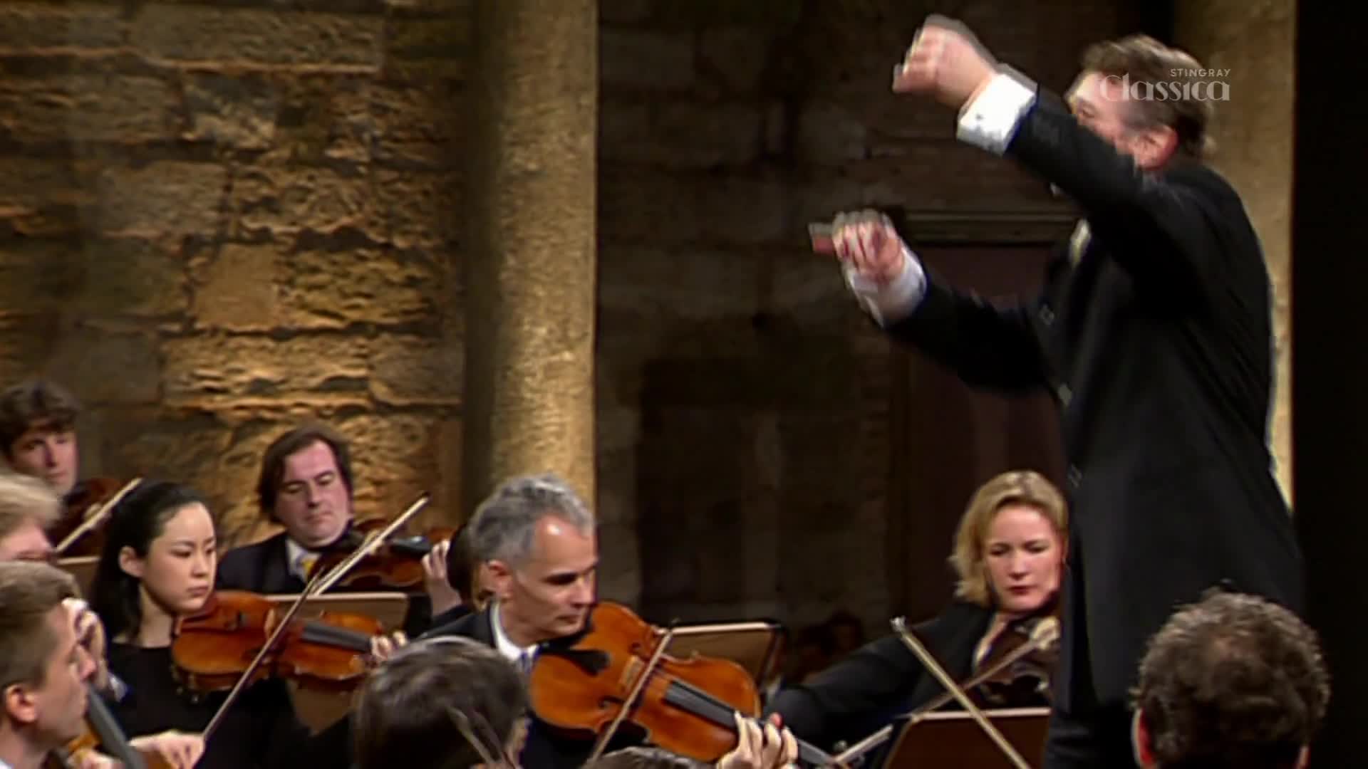 The conductor's arms rise and fall, guiding the musicians with a baton. The string section, each player focused on their instrument, follows his lead.
