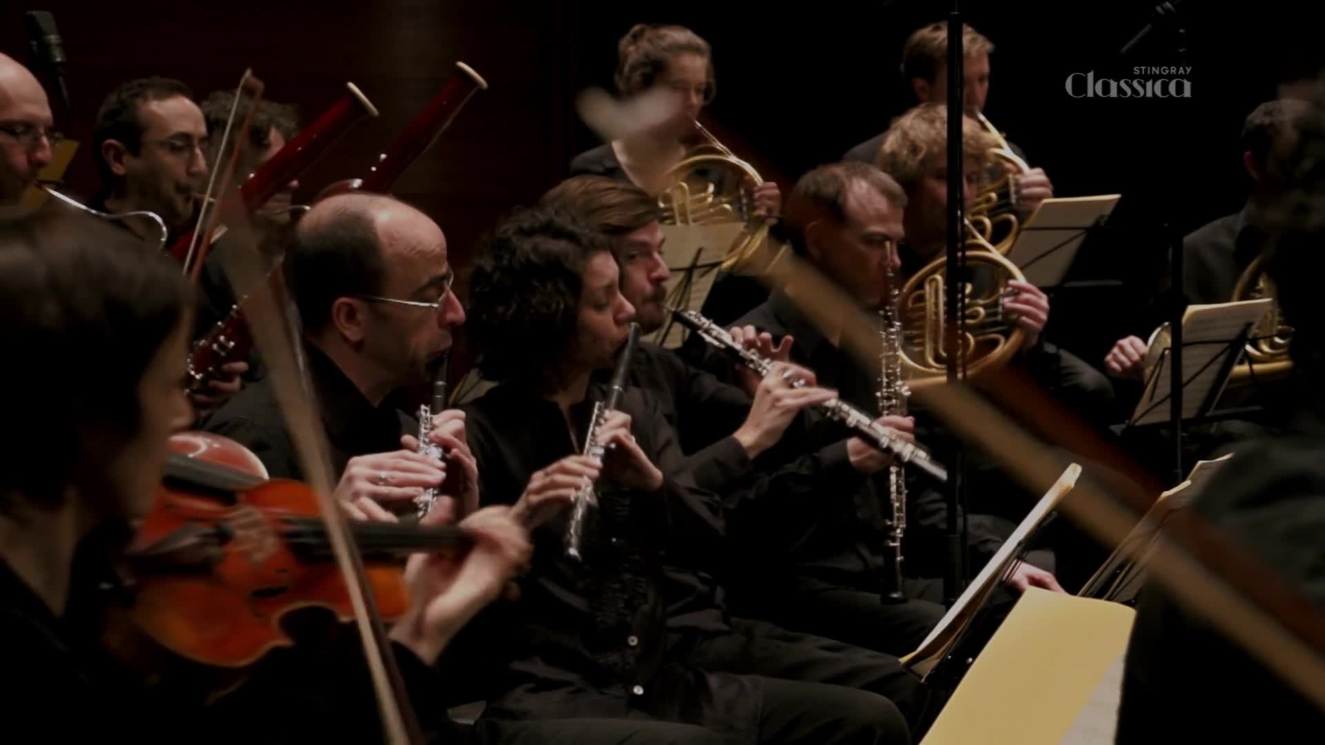 The musicians are focused, their instruments raised as they play. Flutes, oboes, and French horns fill the space, and the Stingray Classica logo is visible.
