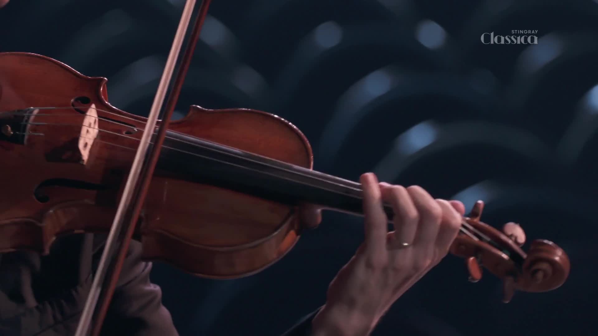 The bow glides across the strings of a violin, coaxing out a rich tone. The musician's fingers dance on the fingerboard, a delicate ballet of precision.
The bow glides across the strings of a violin, coaxing out a rich tone. The musician's fingers dance on the fingerboard, a delicate ballet of precision.
