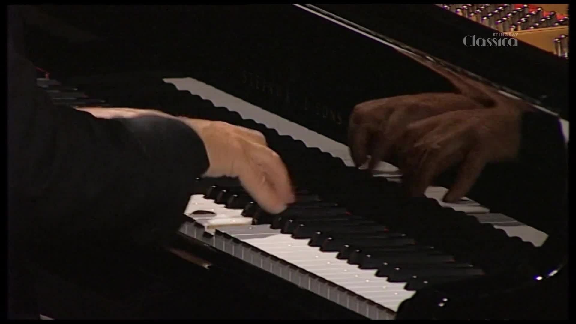 Fingers dance across the keys of a grand piano, a performance captured for Stingray Classica. The polished wood reflects the movement as the music fills the air. Fingers dance across the keys of a grand piano, a performance captured for Stingray Classica. The polished wood reflects the movement as the music fills the air.