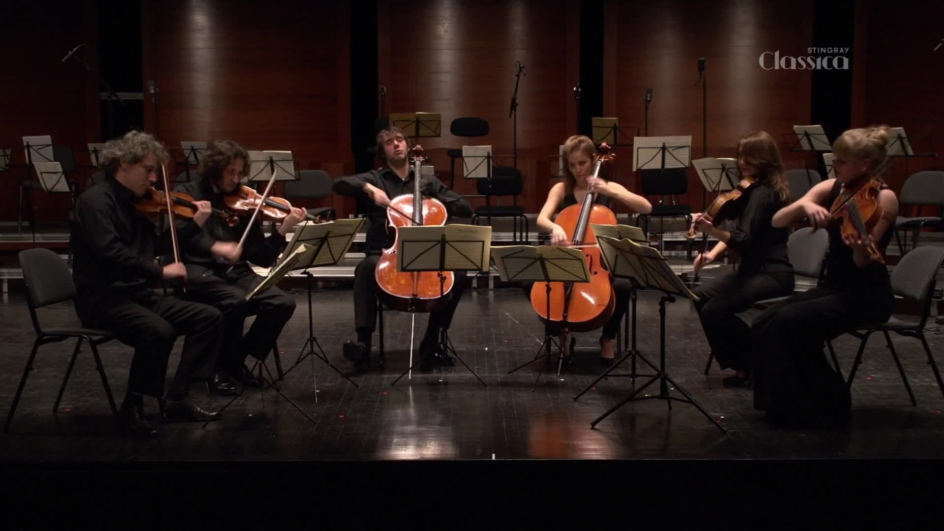A string quartet plays on a dark stage, their bows moving across violins and cellos. The Stingray Classica logo is visible in the upper right corner. A string quartet plays on a dark stage, their bows moving across violins and cellos. The Stingray Classica logo is visible in the upper right corner.