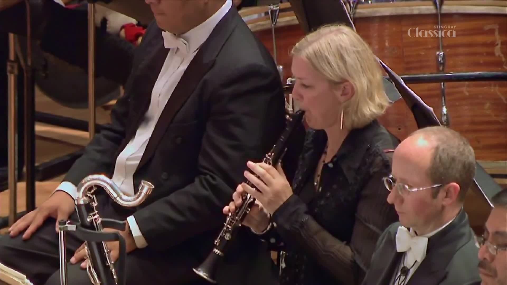 A woman plays her clarinet with focused intensity, her fingers dancing across the keys. Beside her, a man in a tuxedo holds a bass clarinet, its silver neck glinting under the stage lights. A woman plays her clarinet with focused intensity, her fingers dancing across the keys. Beside her, a man in a tuxedo holds a bass clarinet, its silver neck glinting under the stage lights.