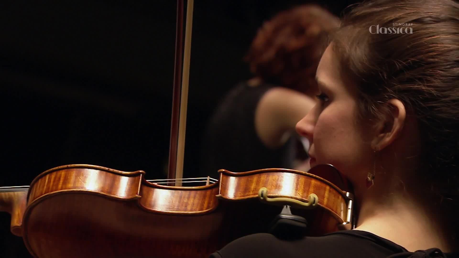 The violinist's bow glides across the strings of her instrument. Behind her, another musician's reflection appears in the polished wood. The violinist's bow glides across the strings of her instrument. Behind her, another musician's reflection appears in the polished wood.