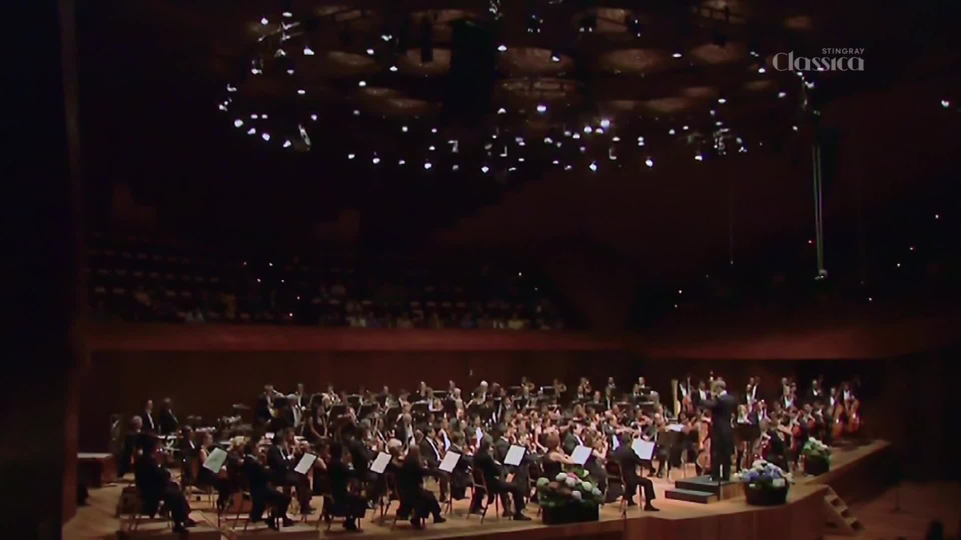 The conductor raises his baton, and the orchestra begins to play. A sea of musicians in formal wear fills the stage, their instruments poised.