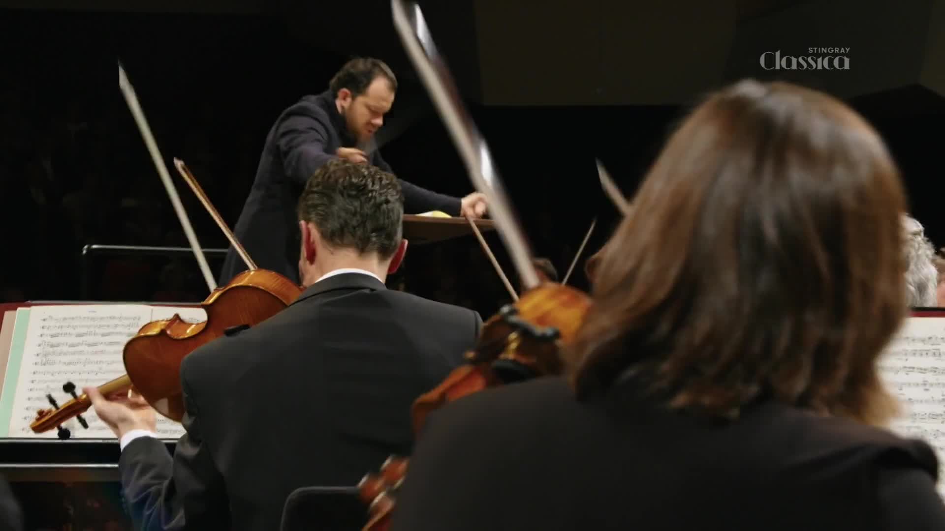 The conductor gestures with his baton, guiding the orchestra through a piece. Cellists and violinists lean into their instruments, their bows moving across the strings.