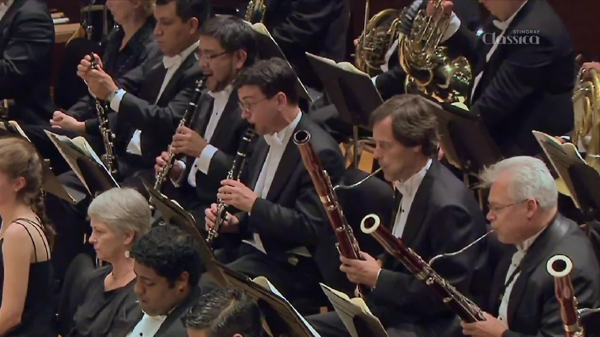 A clarinet player in a black tuxedo leans forward, his fingers dancing over the keys. Beside him, a bassoonist draws a deep breath, preparing to play.