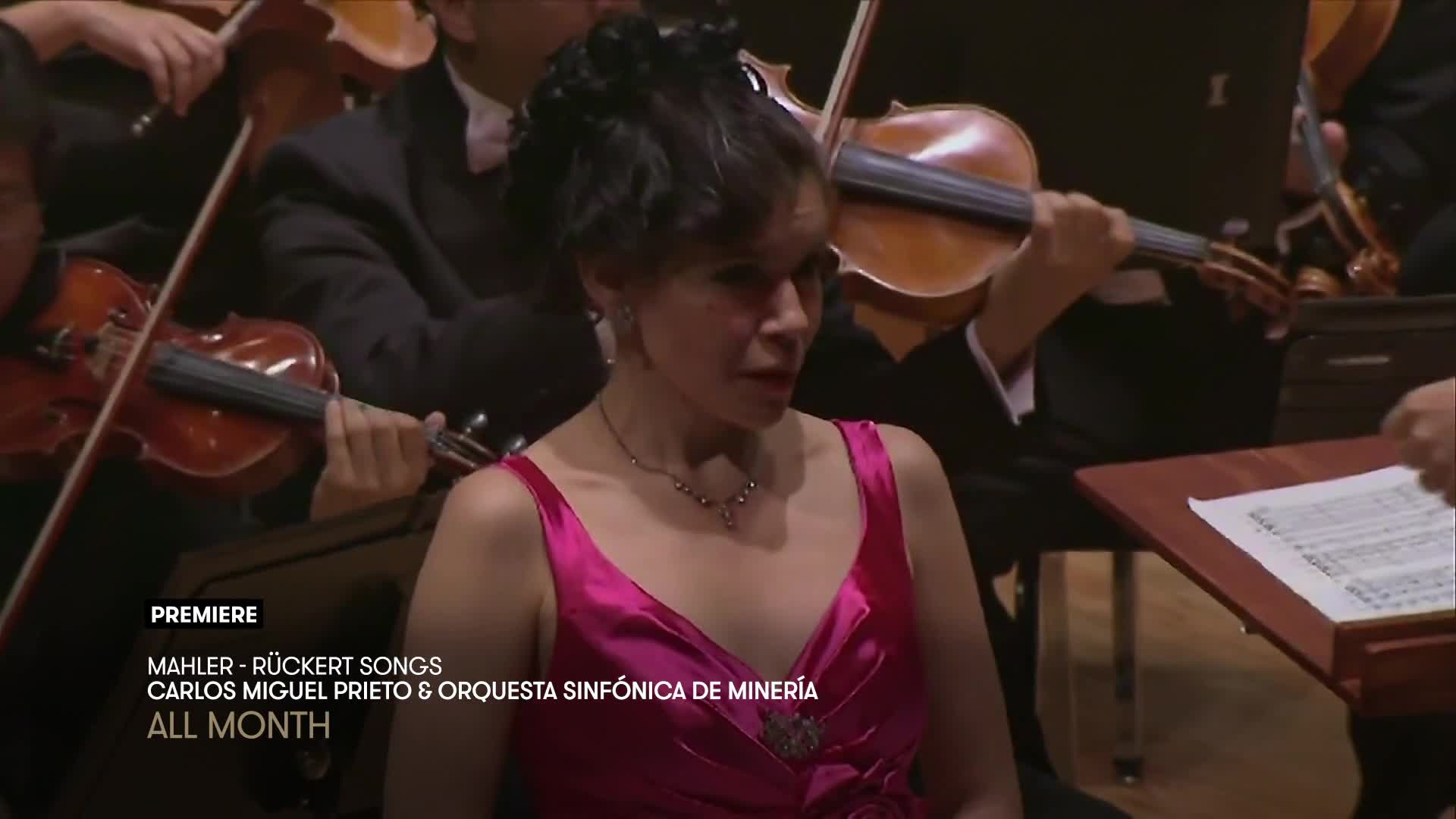 The orchestra is playing, violins held to shoulders, as the singer in a bright pink dress looks on. A conductor's score rests on a stand nearby.