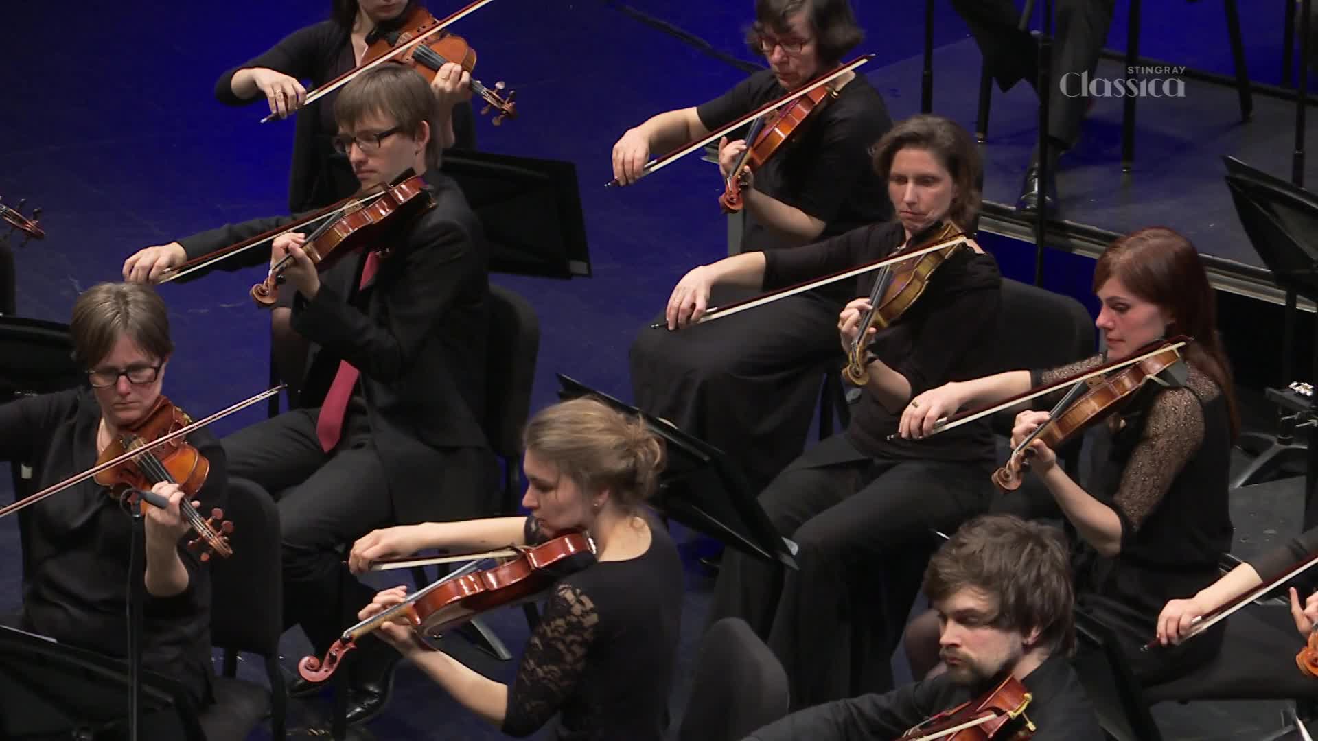 Violins sing as the orchestra plays, their bows dancing across the strings. A man in a suit and tie leads the section, his instrument held steady.