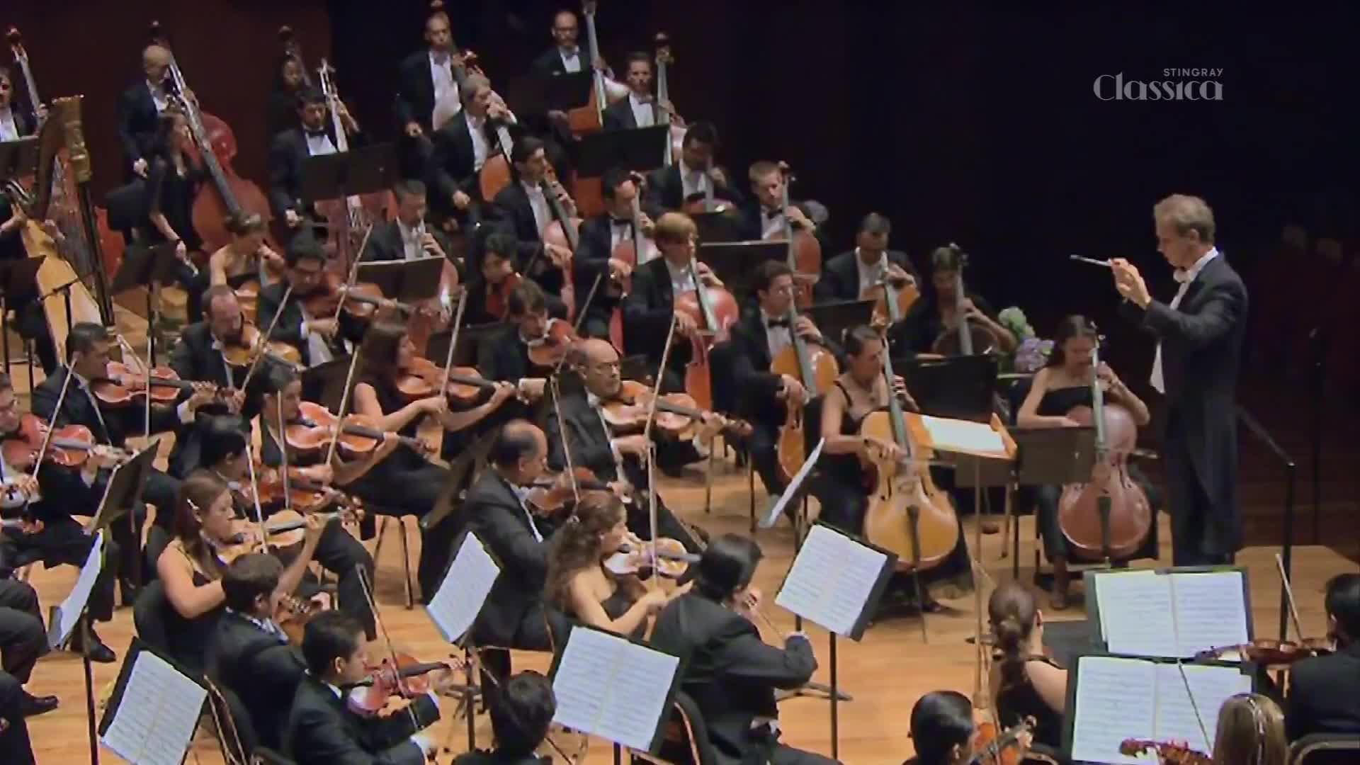 The conductor raises his baton, and the orchestra begins to play. Cellos and violins fill the hall with sound as the musicians follow his lead.