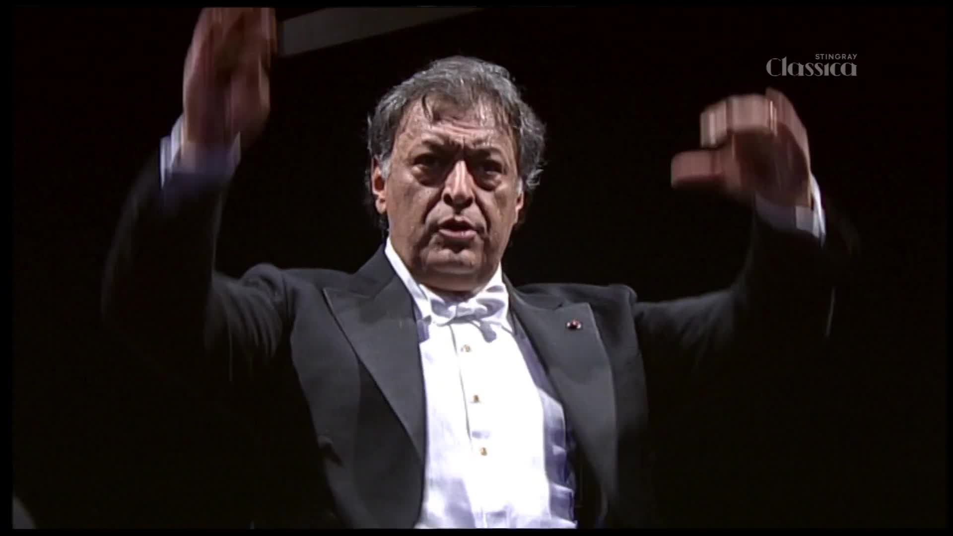 The conductor's arms move with authority, guiding the orchestra through a piece on Stingray Classica. His focused expression suggests a powerful performance unfolding.