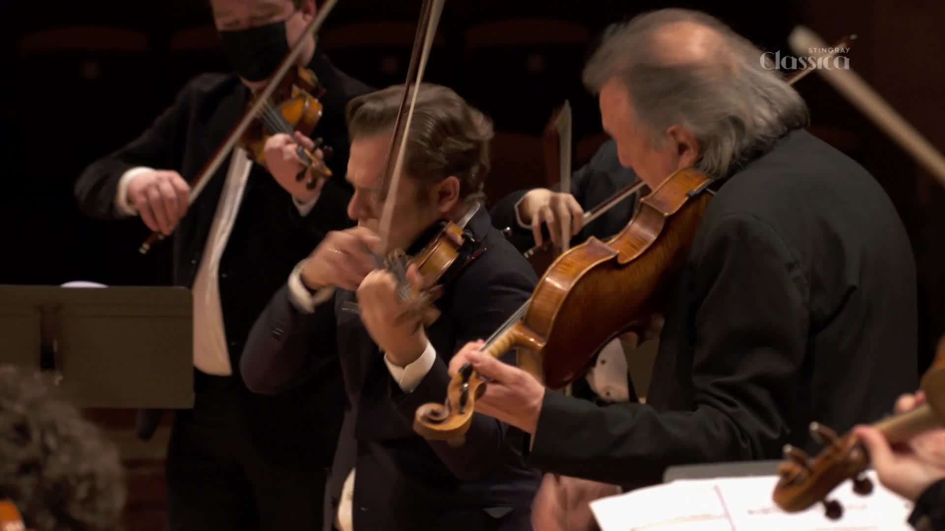 Violinists in dark suits lean into their instruments, bows dancing across strings. The rich wood of their violins gleams under the stage lights, a familiar sight for Stingray Classica audiences in Canada.